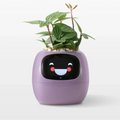 Maceta inteligente con IA: cultiva plantas fácilmente con tecnología Tuya